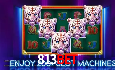 813bet